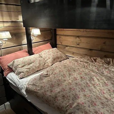 Charming Log Cabin With 3 Bedrooms On Golsfjellet Dom wakacyjny Gol